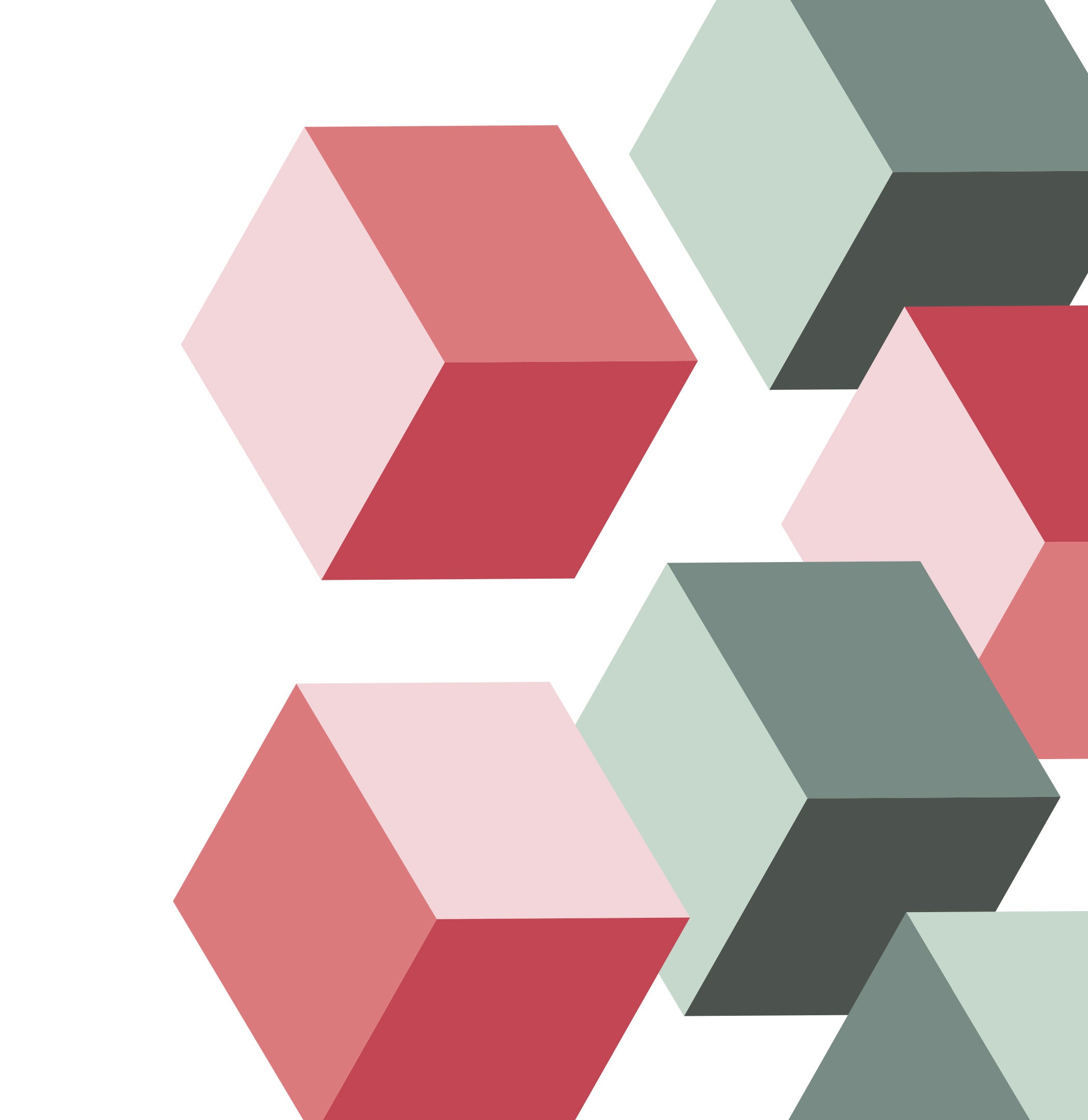 LIVE ONBOARDING Froggymouth live-onboarding-froggymouth